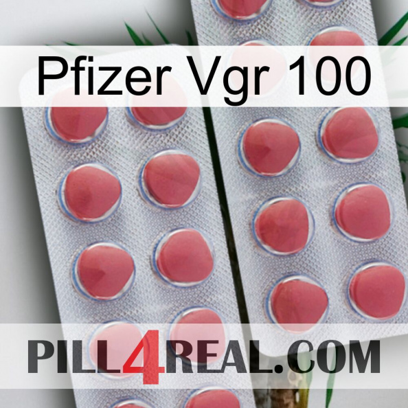 Pfizer Vgr 100 19.jpg